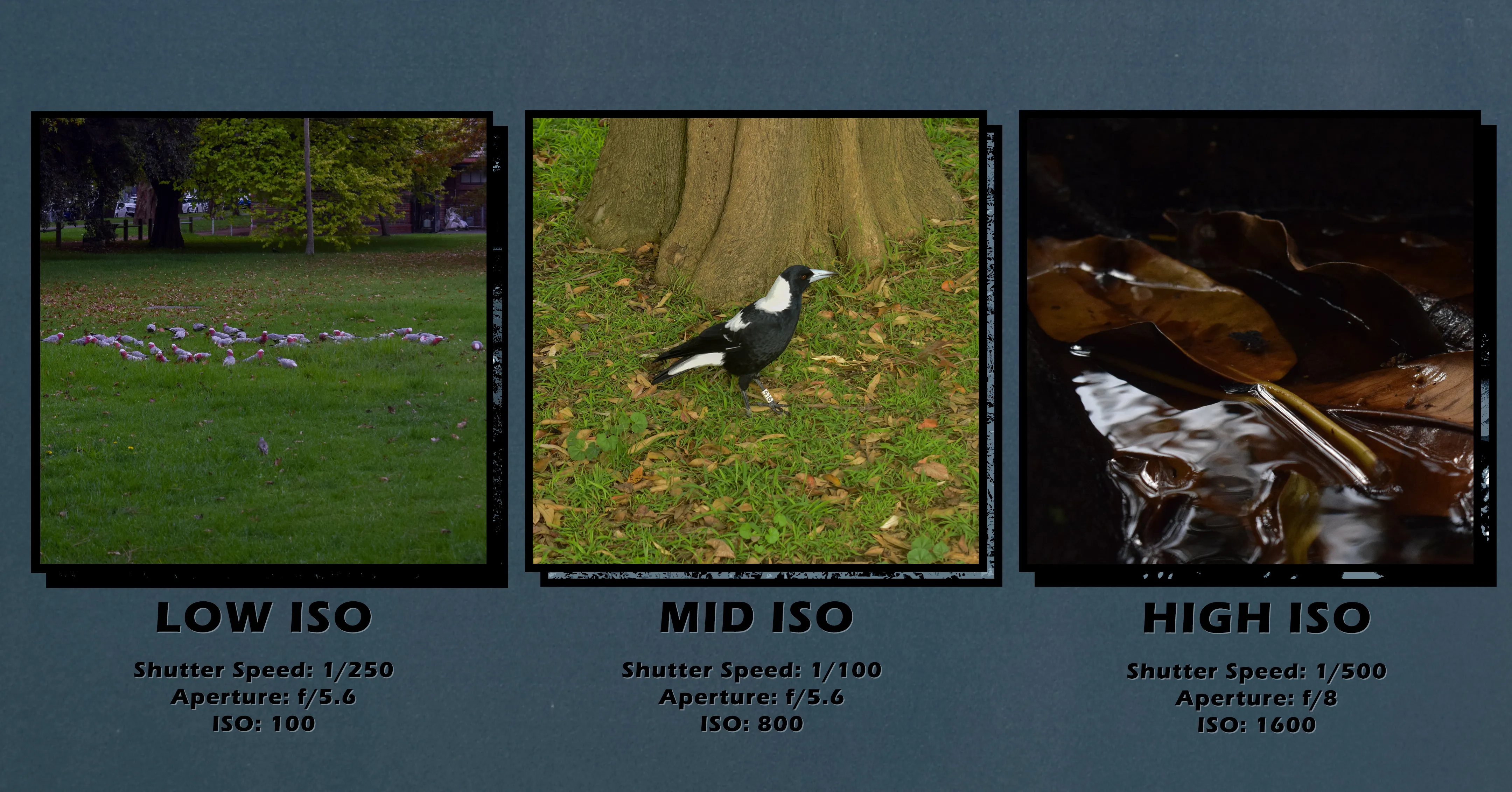 2024-04: Princes Park 3