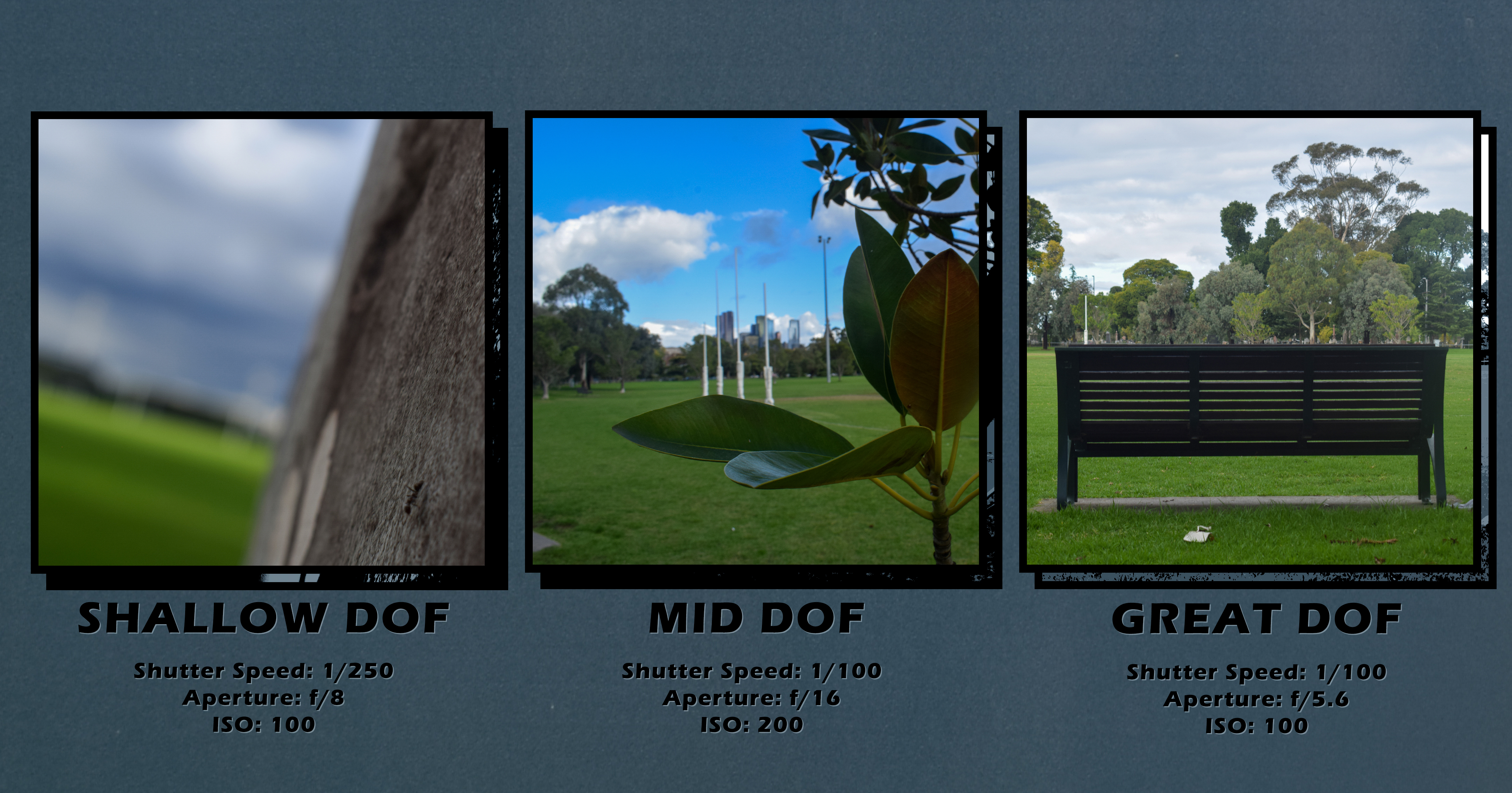 2024-04: Princes Park 4