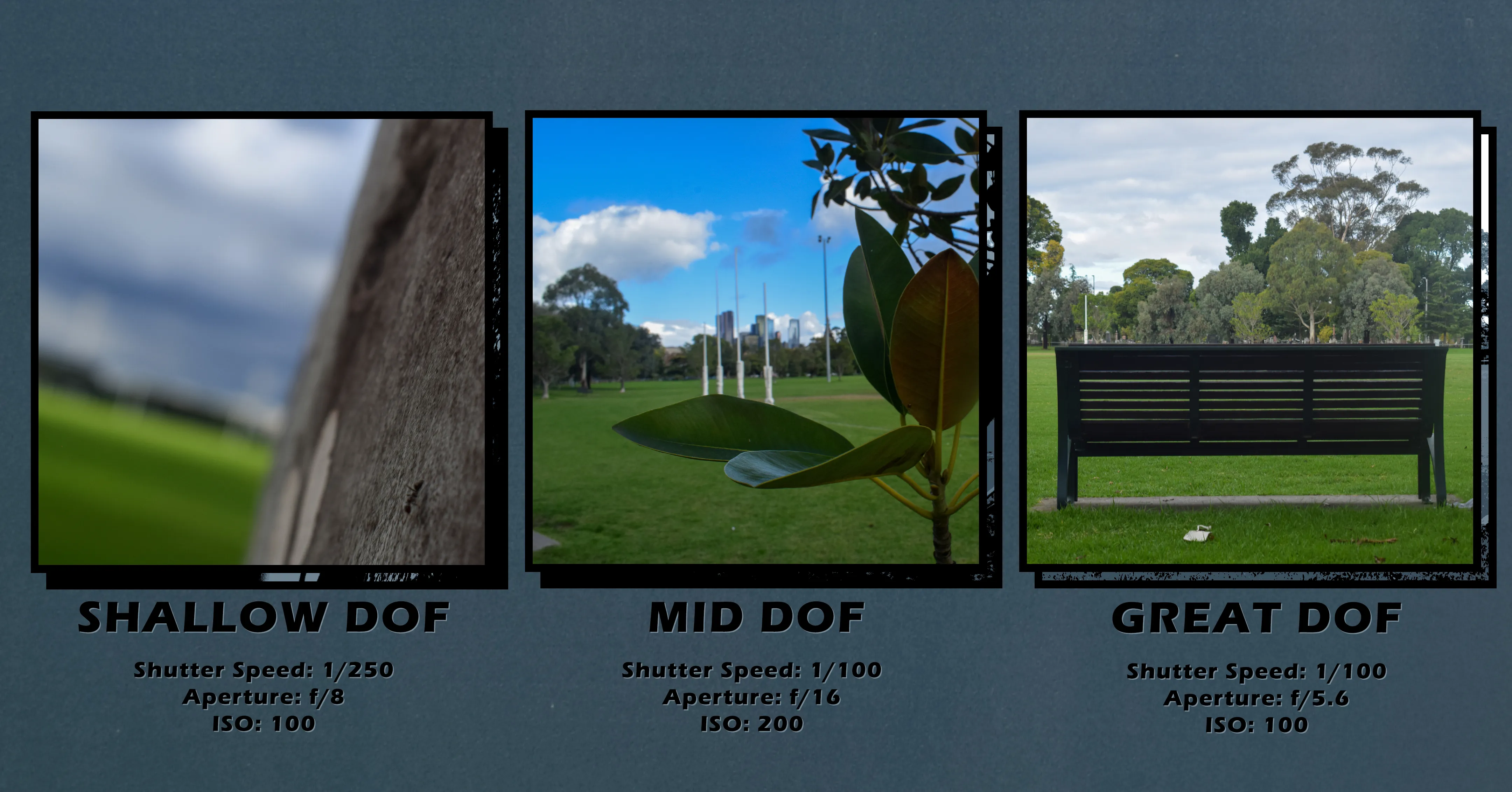 2024-04: Princes Park 4