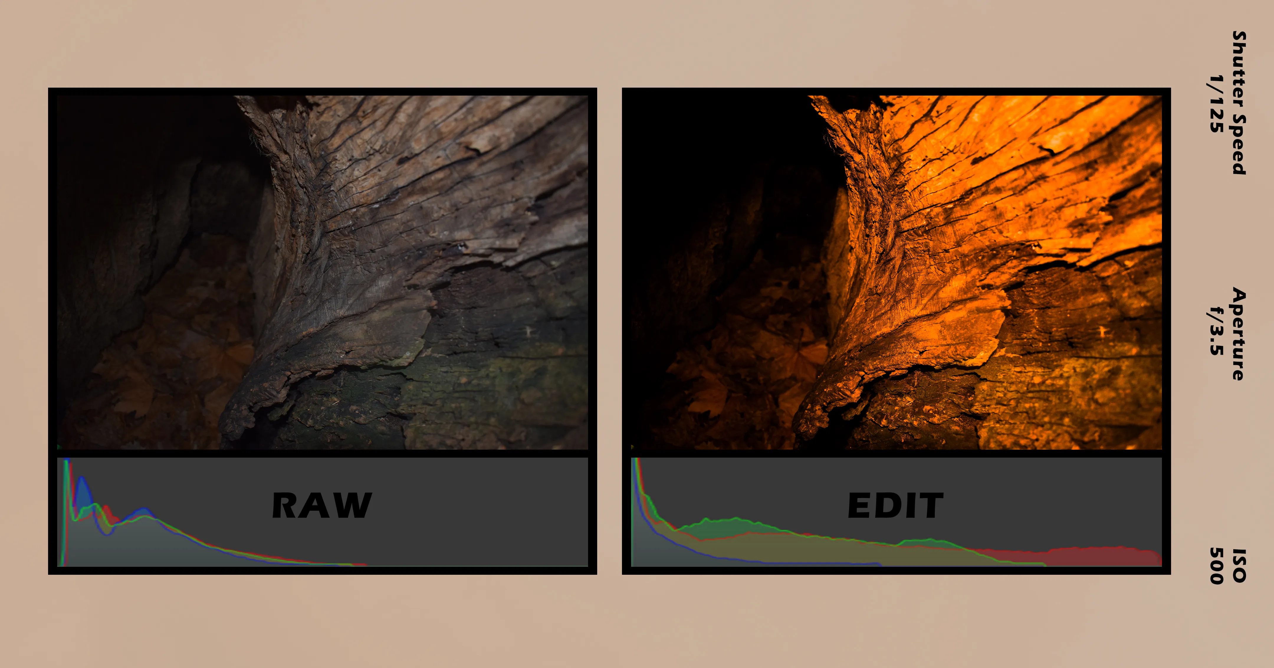 2024-05: Sun-Kissed! Shades of Orange 4