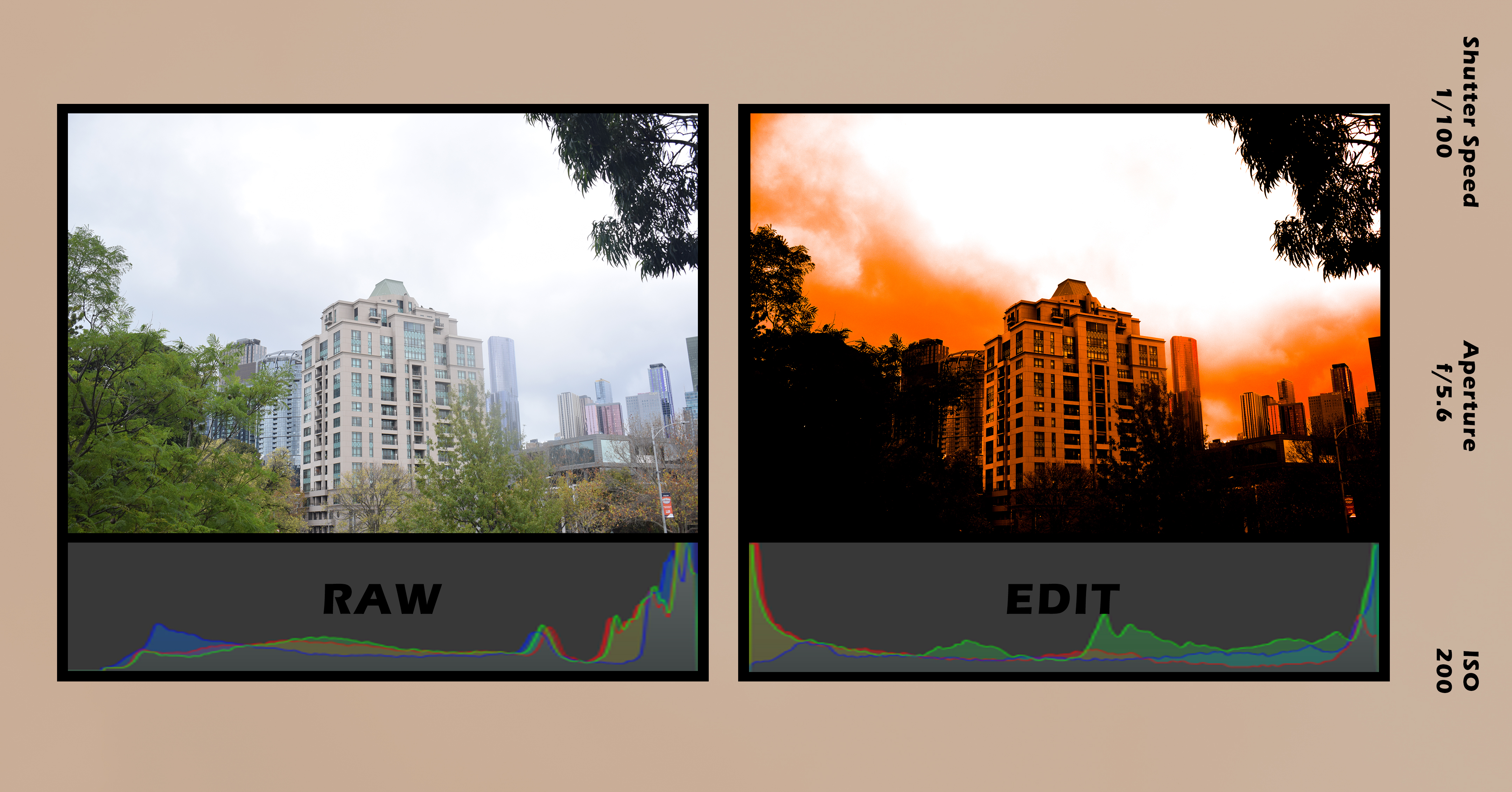 2024-05: Sun-Kissed! Shades of Orange 5